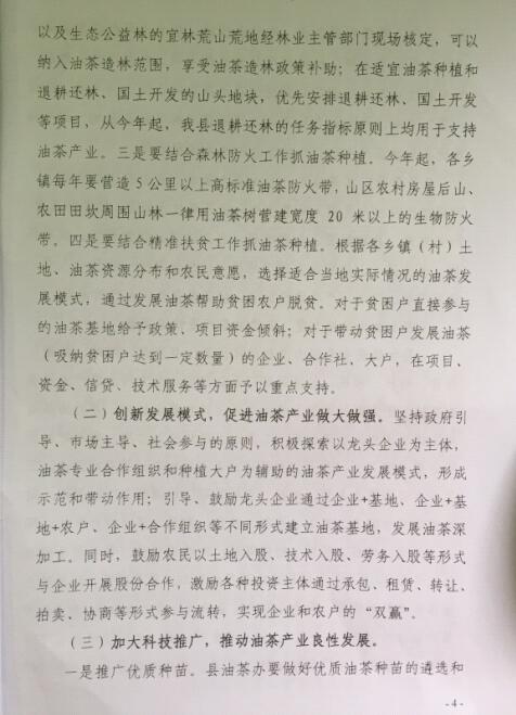 �����������������ڼӿ��Ͳ��ҵ��չ��ʵʩ���4